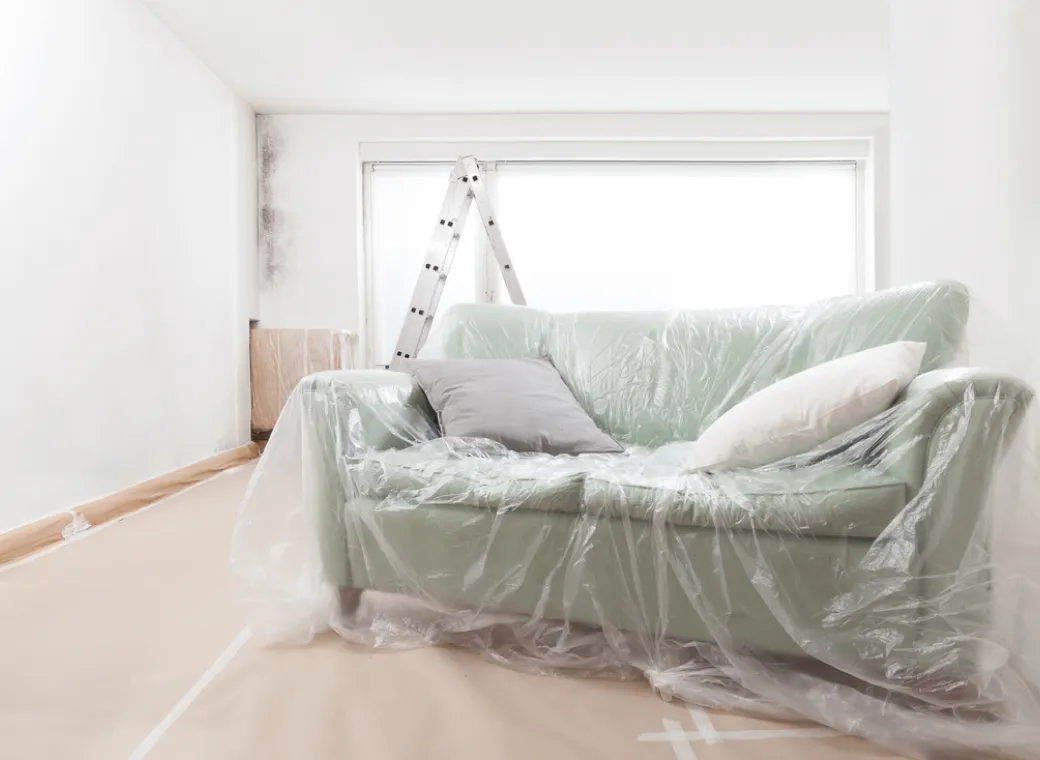 img protect your property and health with reliable mold inspection and removal services